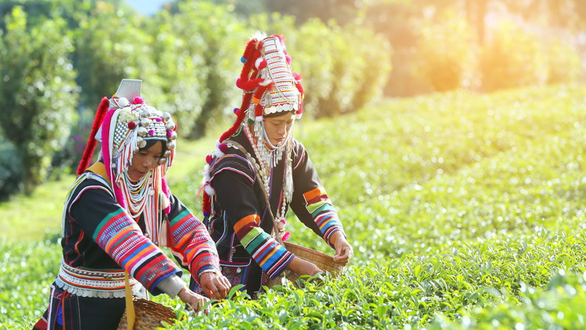 Akha Women, Chiang Rai, Thailand