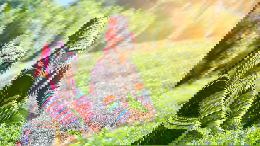 Christmas in Thailand