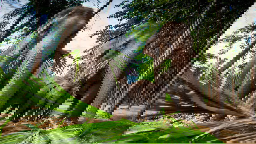 Tantalizing Thailand