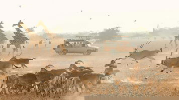 8 Day Desert Days (Celestyal Cruises)