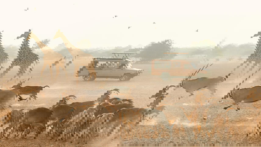 Dubai, Abu Dhabi & Qatar