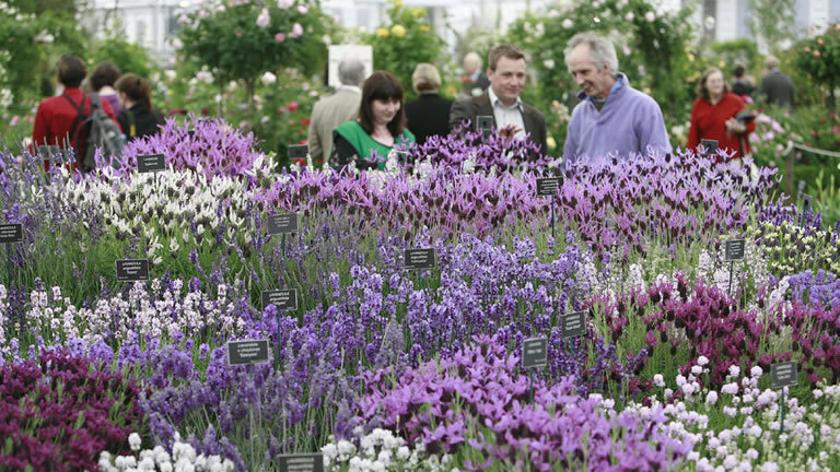 Iconic Gardens of England & Wales in Spring, with Chelsea Flower Show