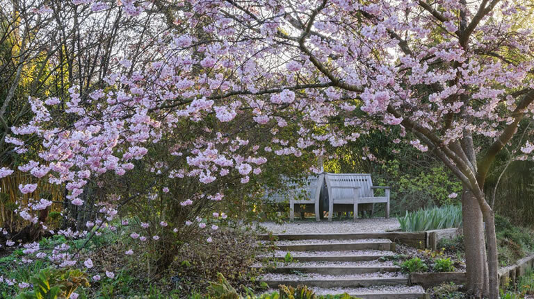 Chelsea Flower Show (Eastbound)