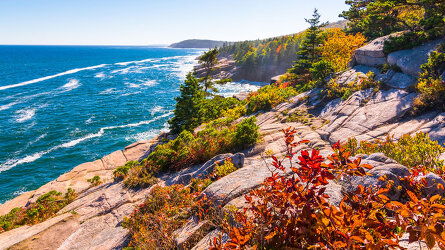 12 Day Caribbean And Antilles (MSC Cruises)