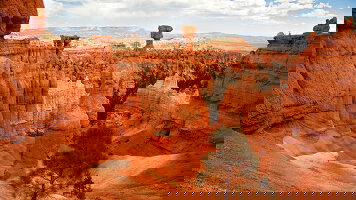 10 Day Spirit of the Desert: The National Parks of the Southwest (Tauck)