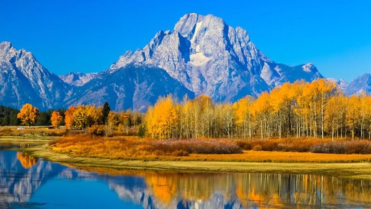 Spot wildlife from Snake River