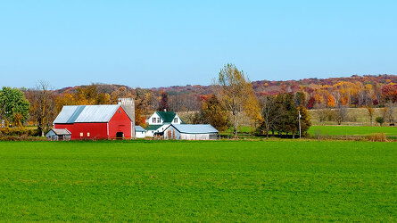The Thinking Person's Cruise