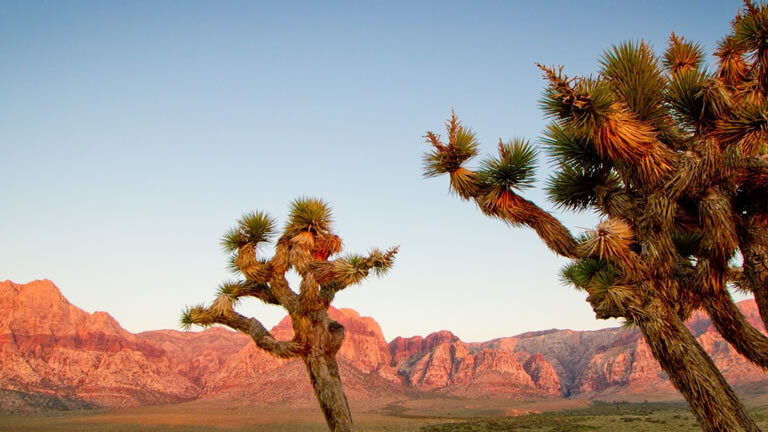 America's Great Desert National Parks