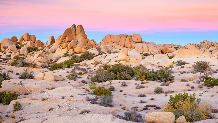 America's Great Desert National Parks