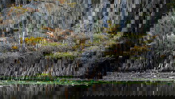 11 Day New Orleans to Memphis (Viking)