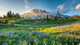 Mount Rainier National Park