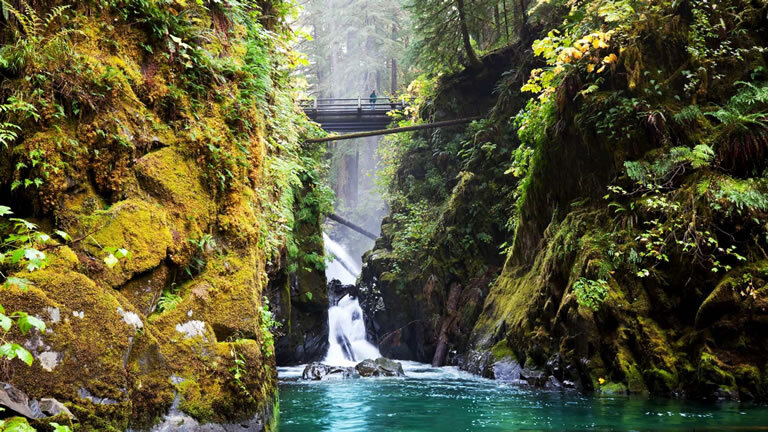 Discover the Pacific Northwest