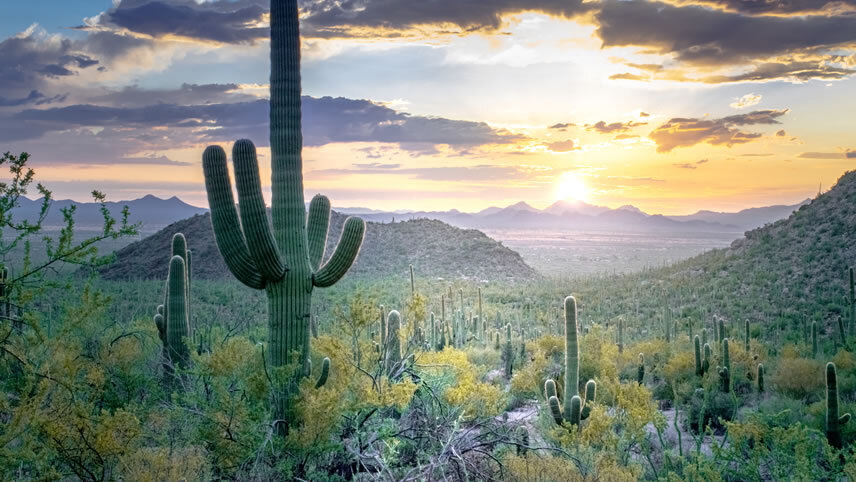 America's Great Desert National Parks