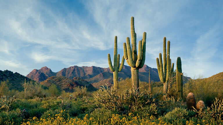 Spirit of the American Southwest