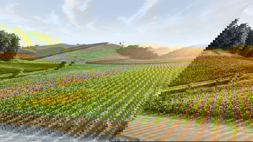 Coastal California, Napa & the Central Valley