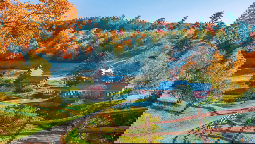 Classic Fall Foliage