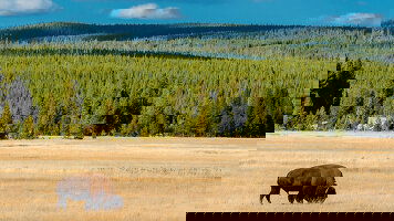 14 Day America's National Parks & Denver (Collette)