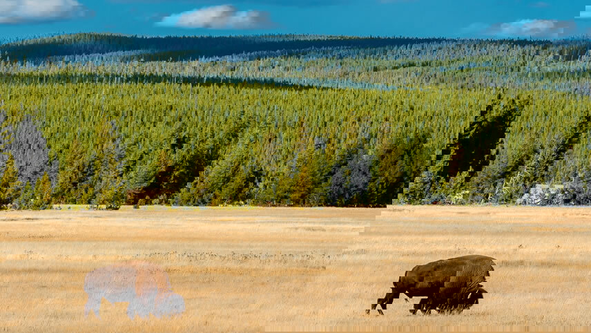 America's National Parks