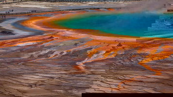 Costsaver Launches in the USA & Canada