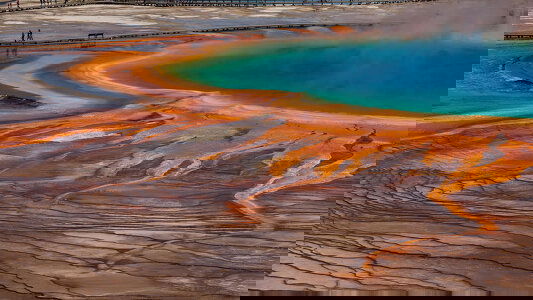 Costsaver Launches in the USA & Canada