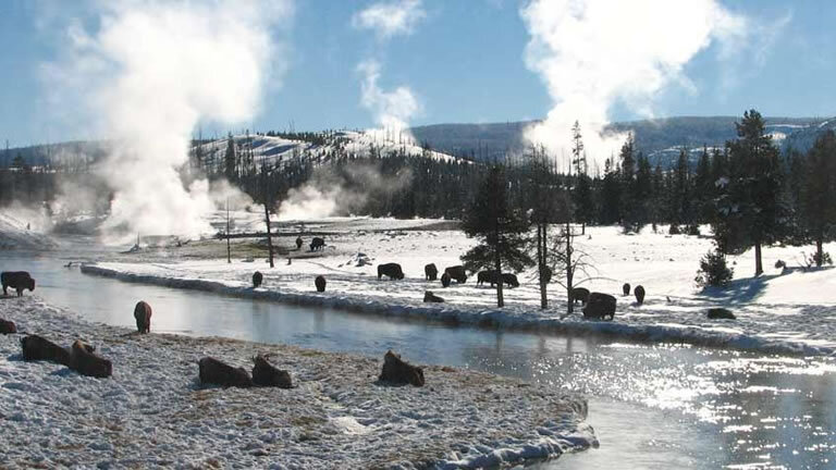 Yellowstone Winter Wonderland