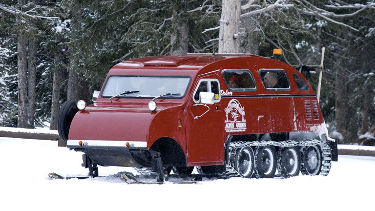 Wonderland: Yellowstone in Winter