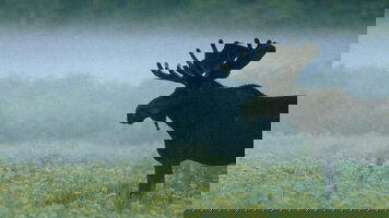 13 Day Spectacular Canyons and National Parks (Costsaver)