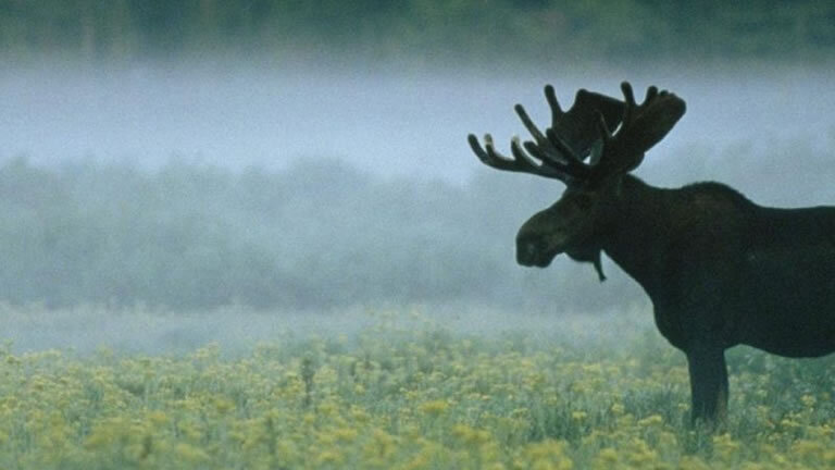 Spectacular Canyons and National Parks