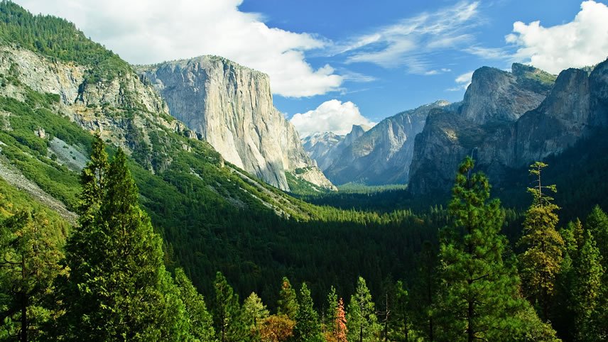 Yosemite & Sequoia: John Muir's California