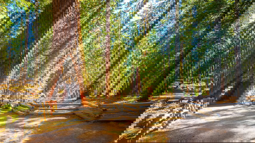 USA Road Trip — Yosemite Hiking & Cali Surfing