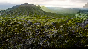 17 Day Remote Indonesia & Papua New Guinea (Seabourn)