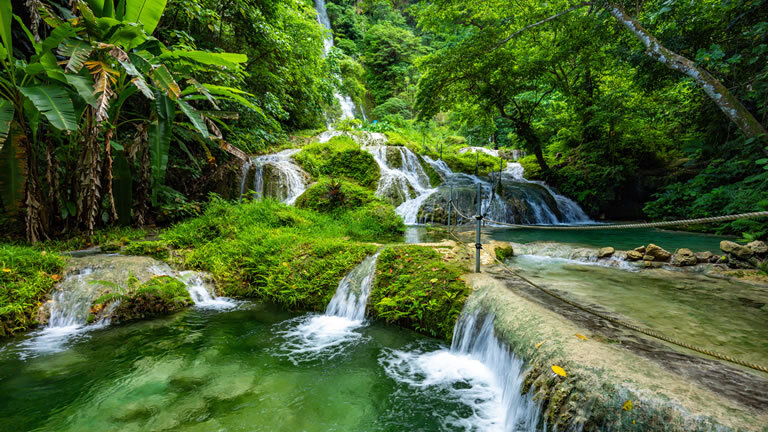 South Pacific Cruise