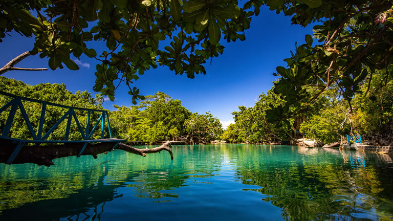 South Pacific Cruise