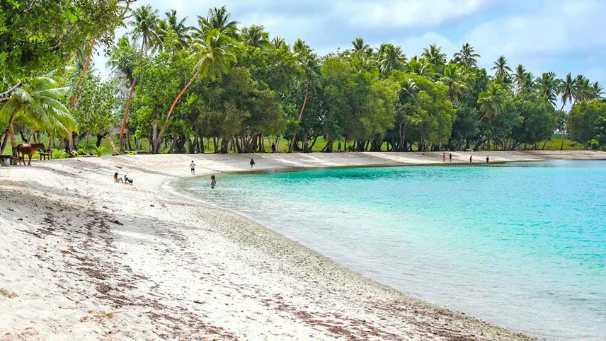 South Pacific Cruise
