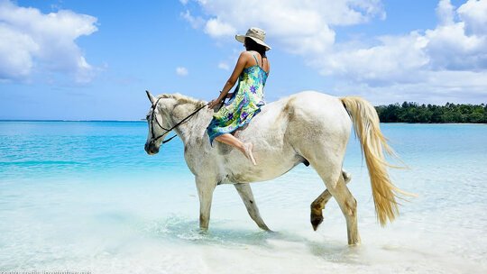 Horse Riding in Pt. Vila’s Rainforest 