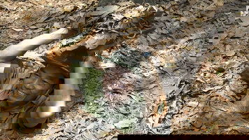 14 Day Sensational Vietnam & Laos (Luxury Gold)