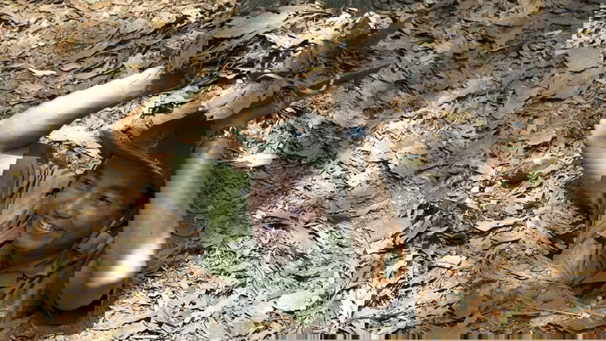 Highlights of Vietnam