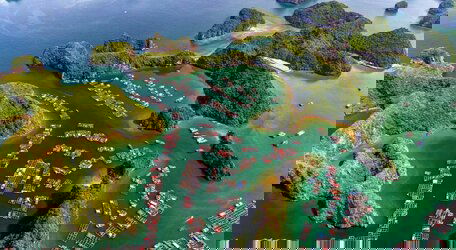 Visiting a floating village or learning about life on the bay