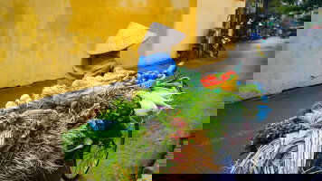 8 Day Charms of the Mekong (AmaWaterways)