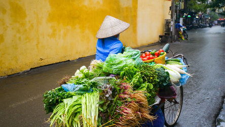 Get a Taste of Hoi An