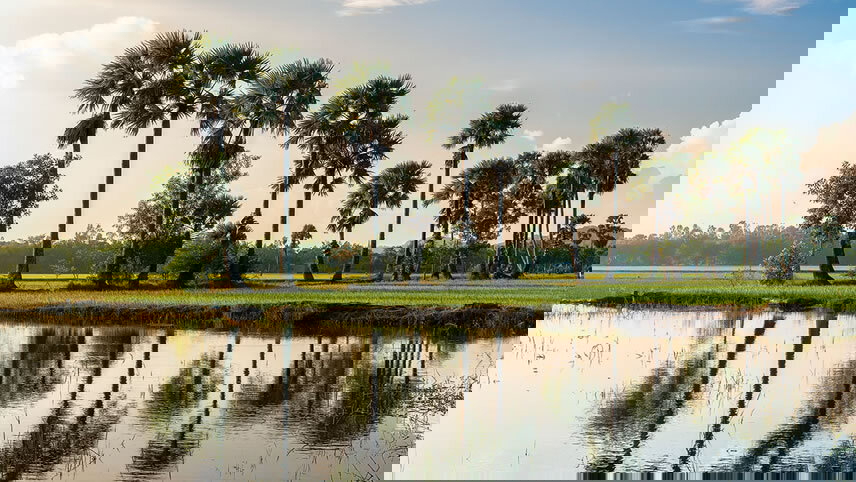 Fascinating Vietnam, Cambodia & the Mekong River with Bangkok (Northbound)