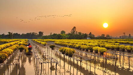 15 Day Magnificent Mekong (Viking)