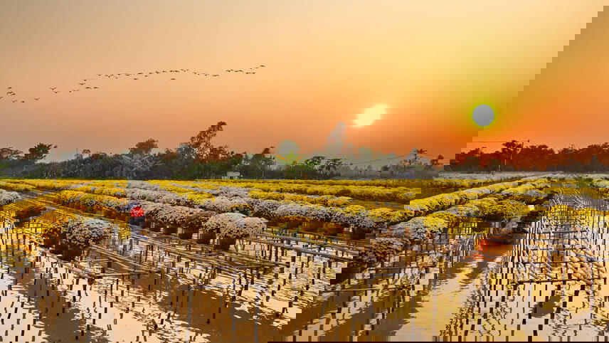 Wonders of Japan, Vietnam and Cambodia