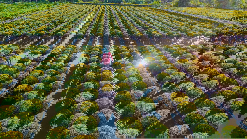 8-Day Majestic Mekong Cruise