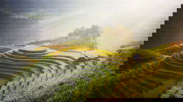 Intrepid Indonesia Tours