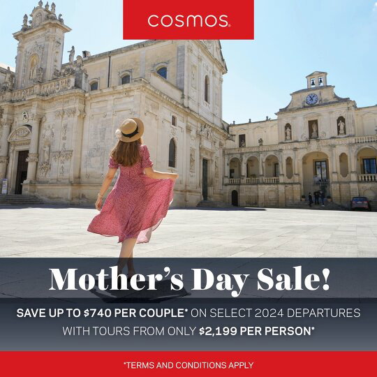 Cosmos Mother's Day Sale