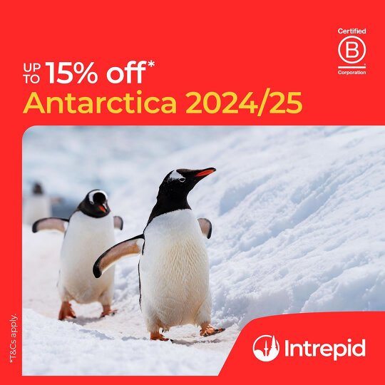 Intrepid's Antarctica 2024/25 Sale