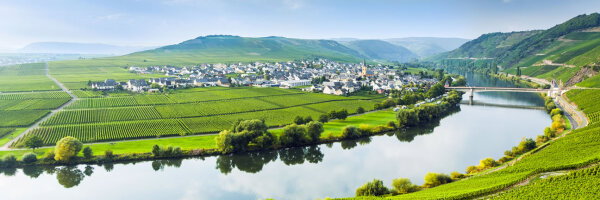 Choosing the best river to cruise in Europe