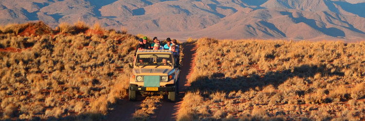 Bunnik Tours