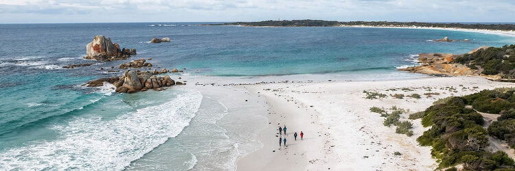 Tasmanian Walking Company